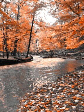 8x10 Autumn River Reflections Orange Forest Landscape Photography Art Print
